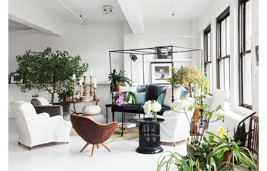 Kitchen Feng Shui,