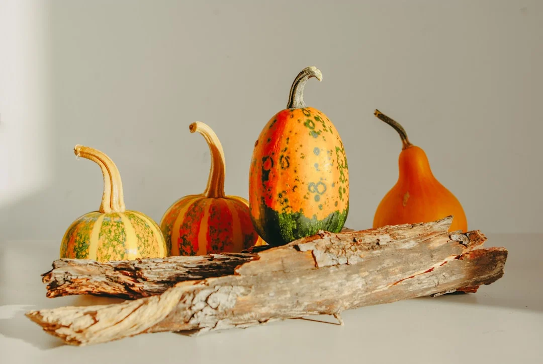 
  How Many Gourds Should Be Hung at Home? What Are the Considerations fo
 – FengshuiGallary