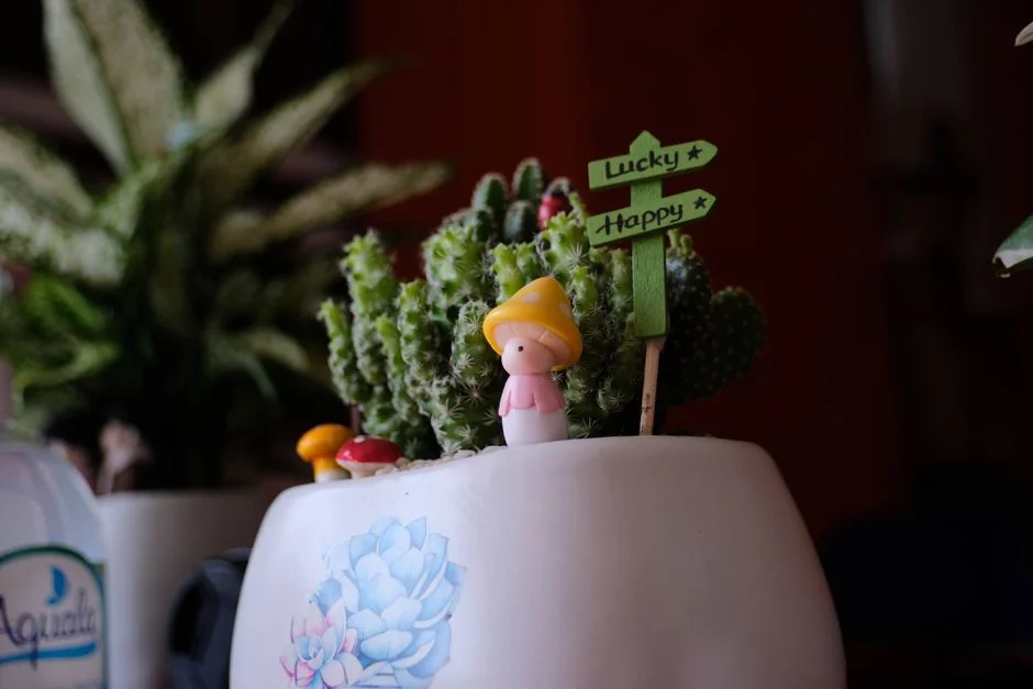 Lucky Plant Pots,