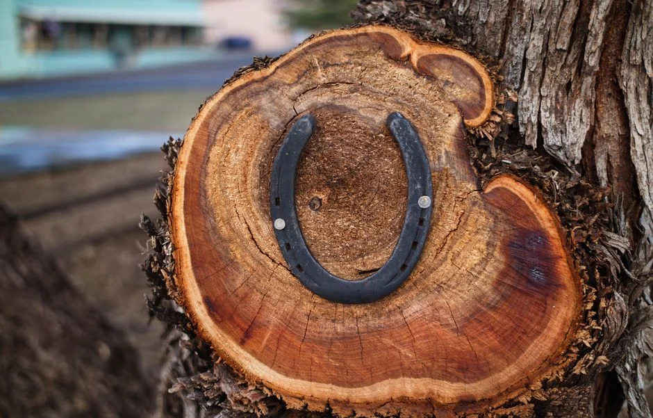 Horseshoe good luck,