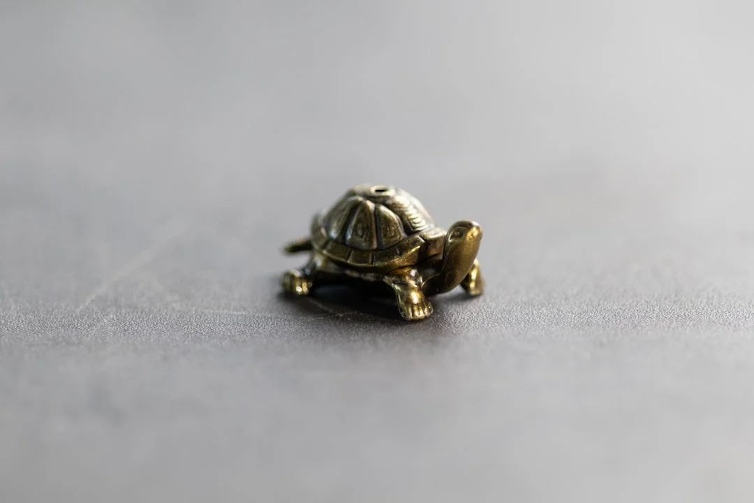 Feng Shui symbols,