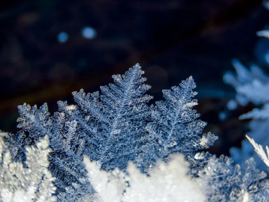 Natural Crystal Artistry,