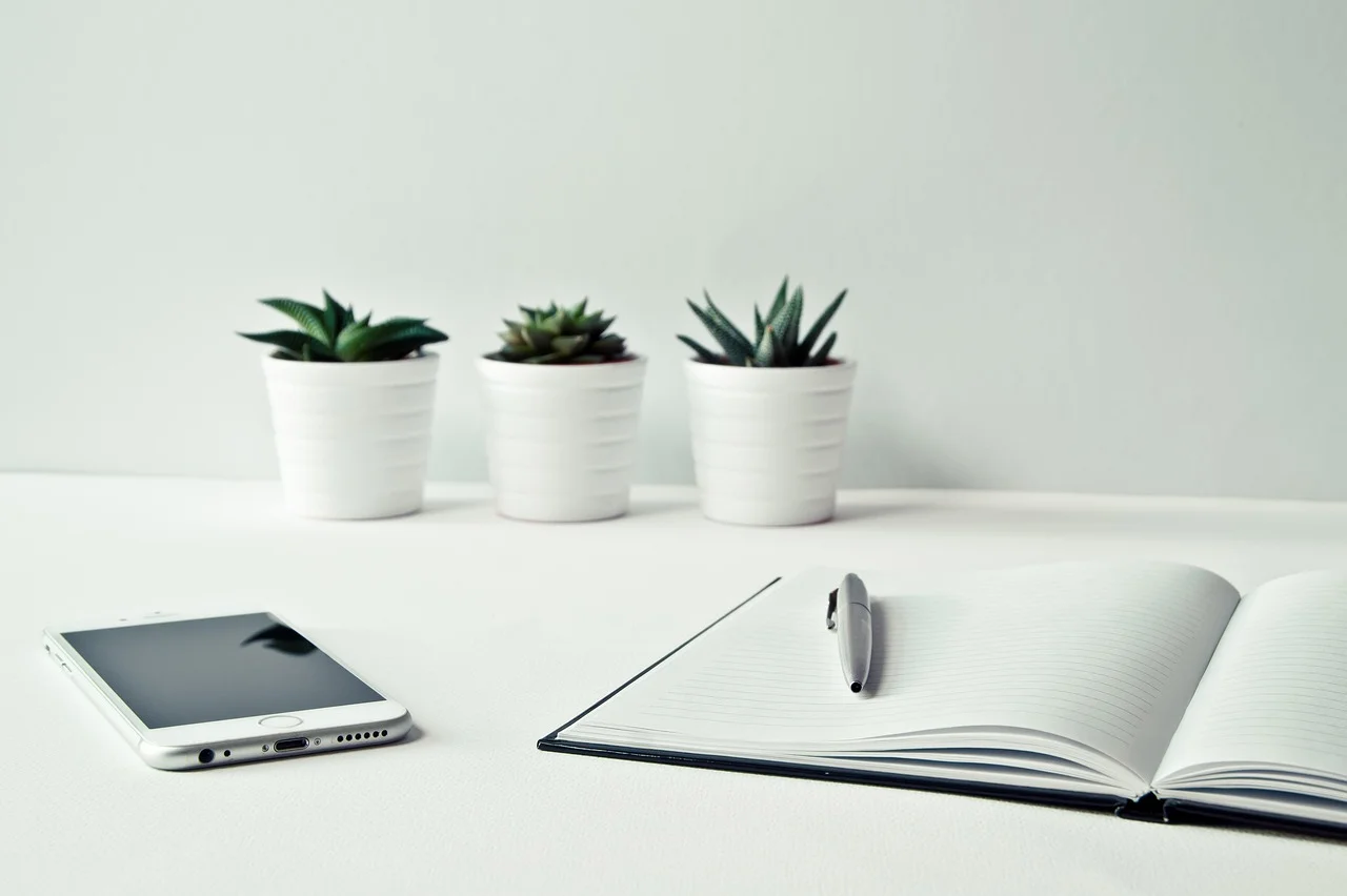 lucky desk plants,
