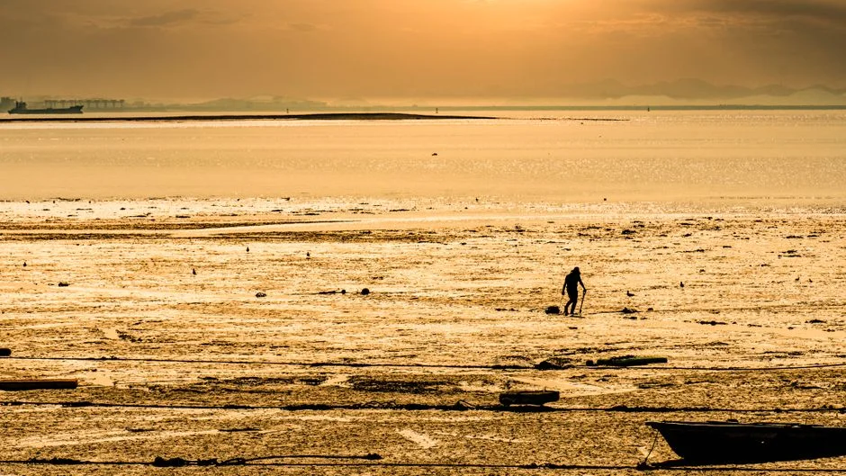 lonely yang sha,