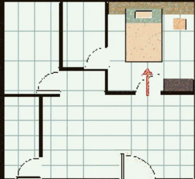 Feng Shui directional