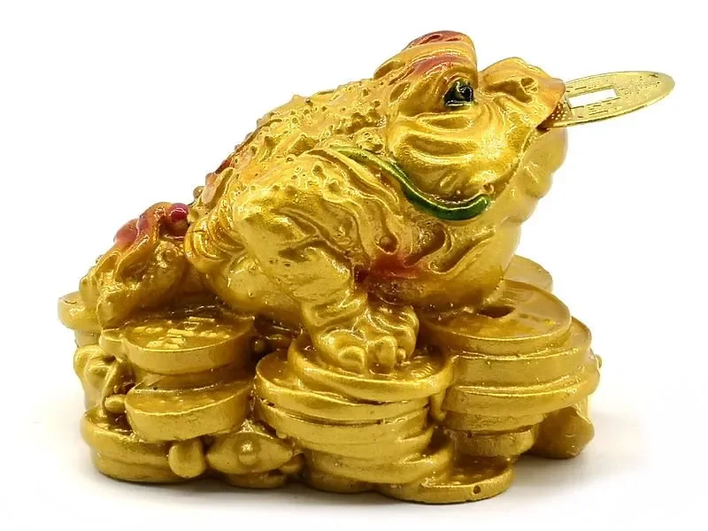 Colorful money frog,