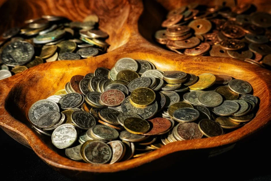 Money frog coins