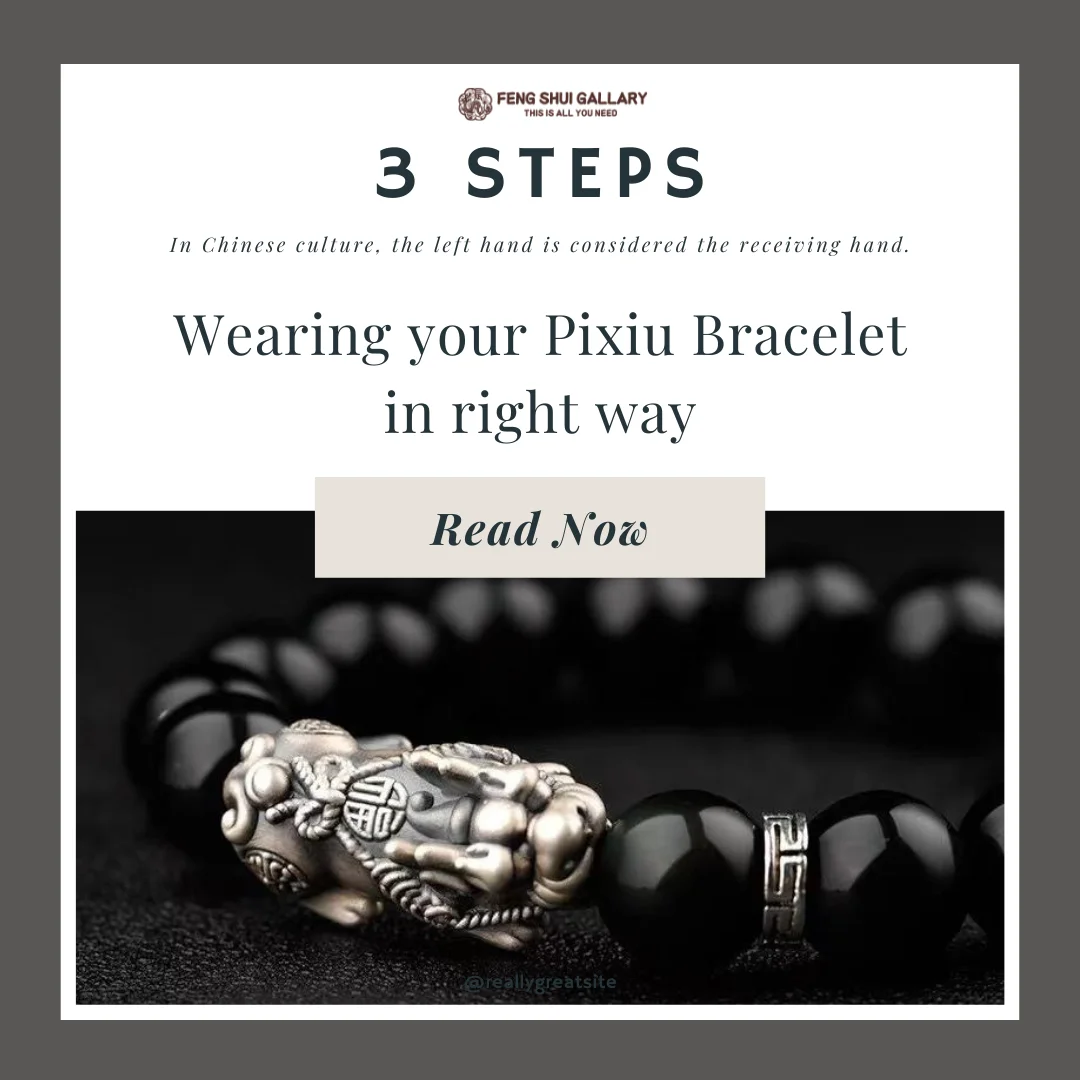 Pixiu bracelet, Feng