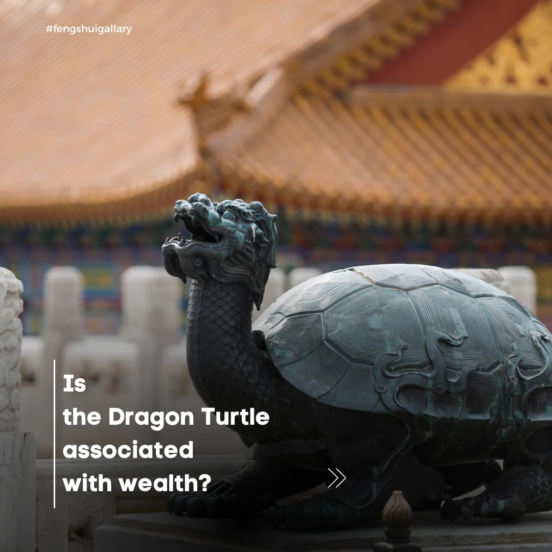 Dragon Turtle, Chinese