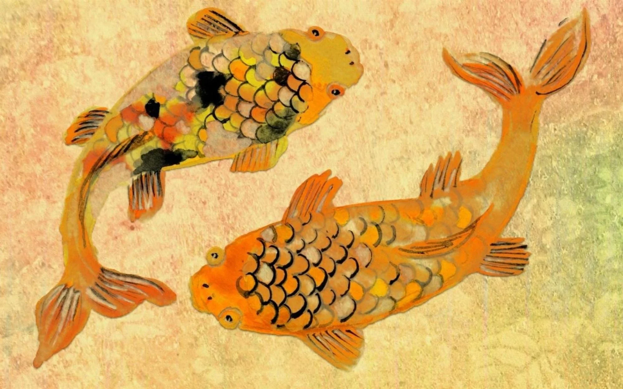 Koi fish mythology,