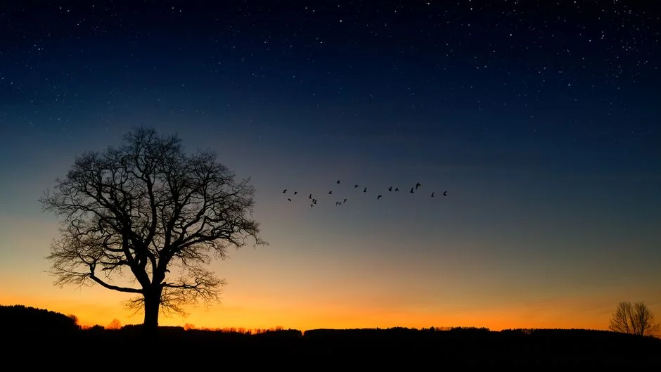 Flying stars feng