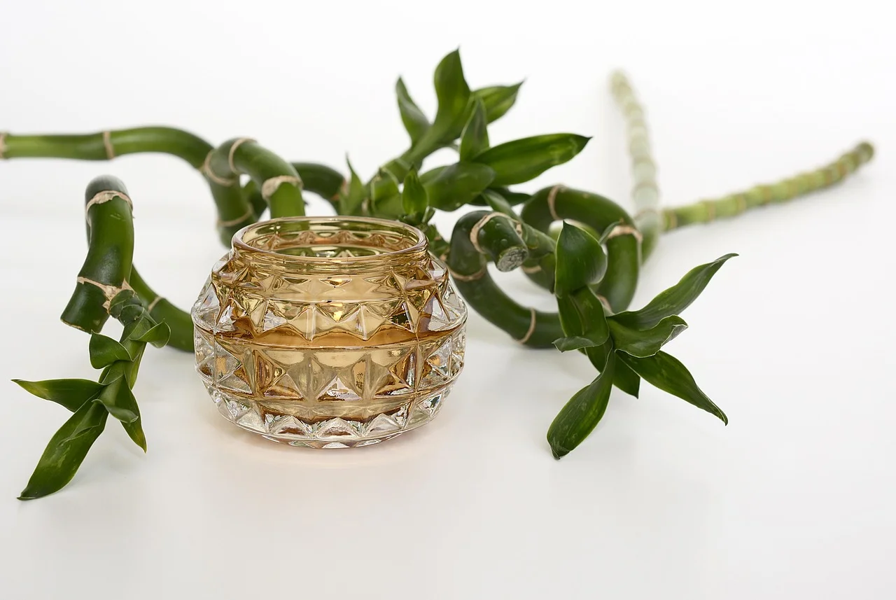 lucky bamboo symbolism,