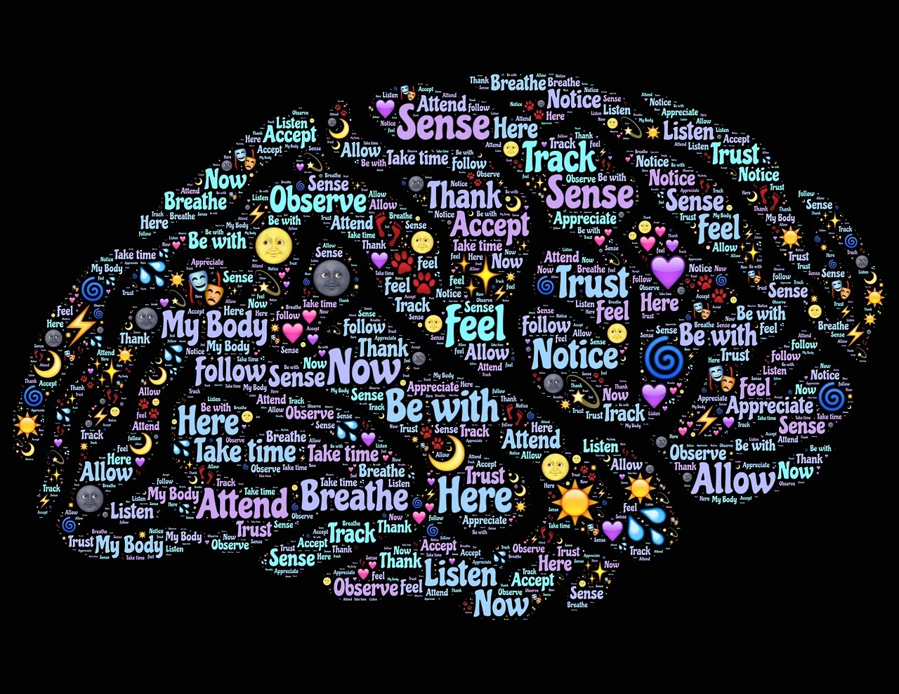 neuroplasticity, parasympathetic nervous