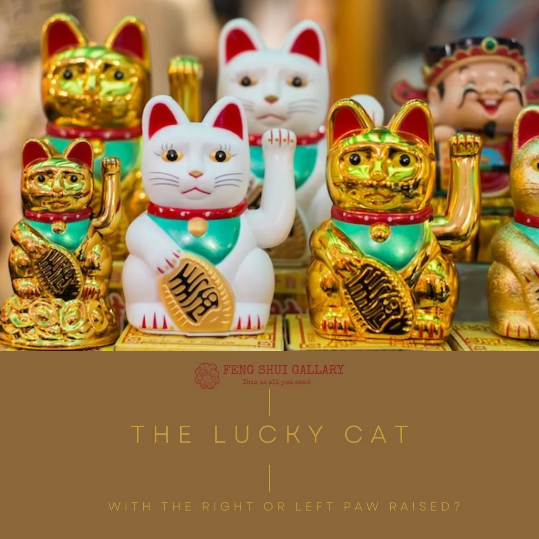 Maneki-Neko, Feng Shui