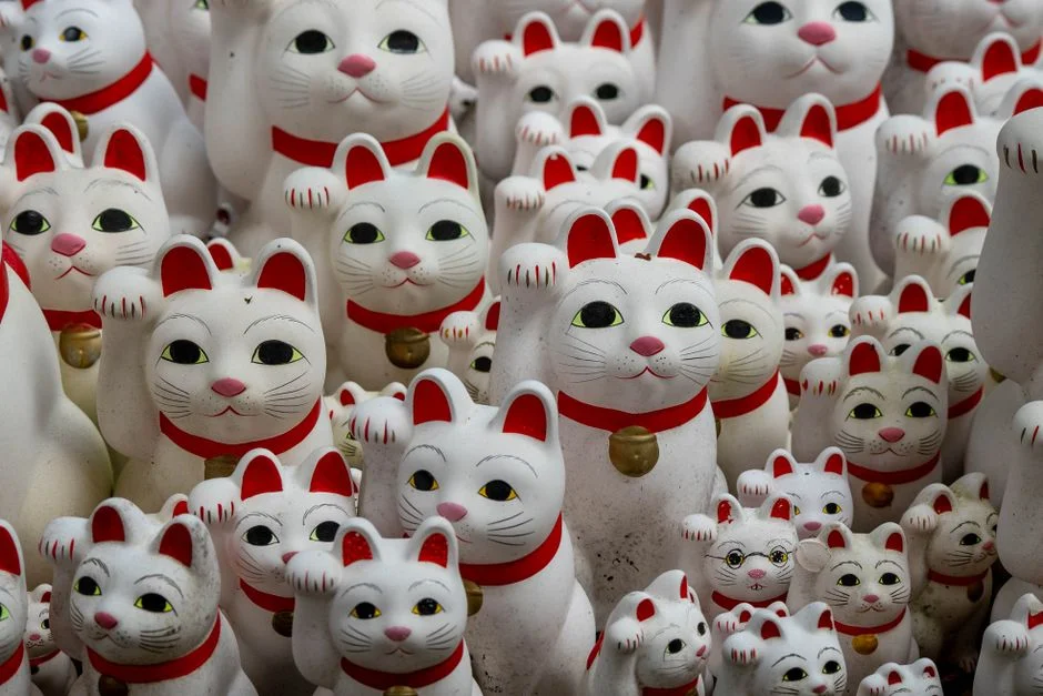 Maneki-Neko paw meaning,