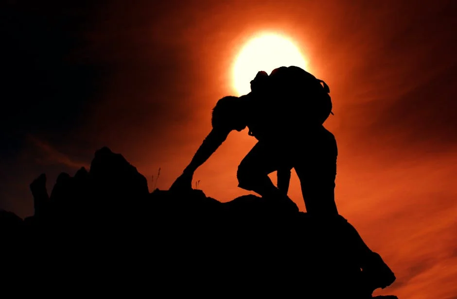Resilience, Life Purpose,