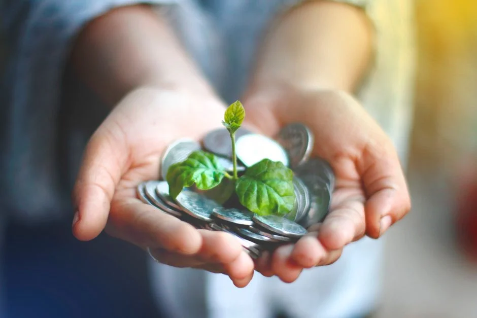 Wealth Management, Sustainable