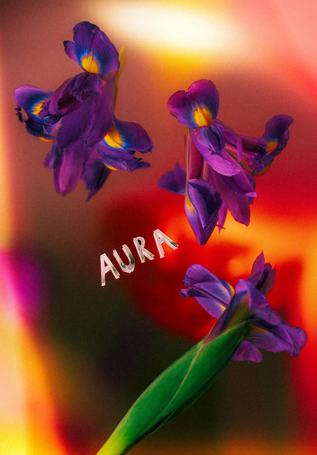 Aura Colors, Crystal