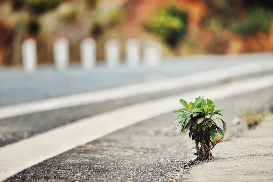 Resilience, Adaptability, Spiritual