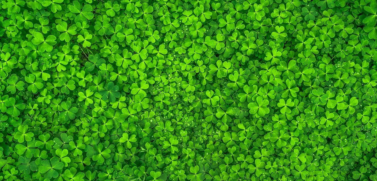 Choosing good luck,