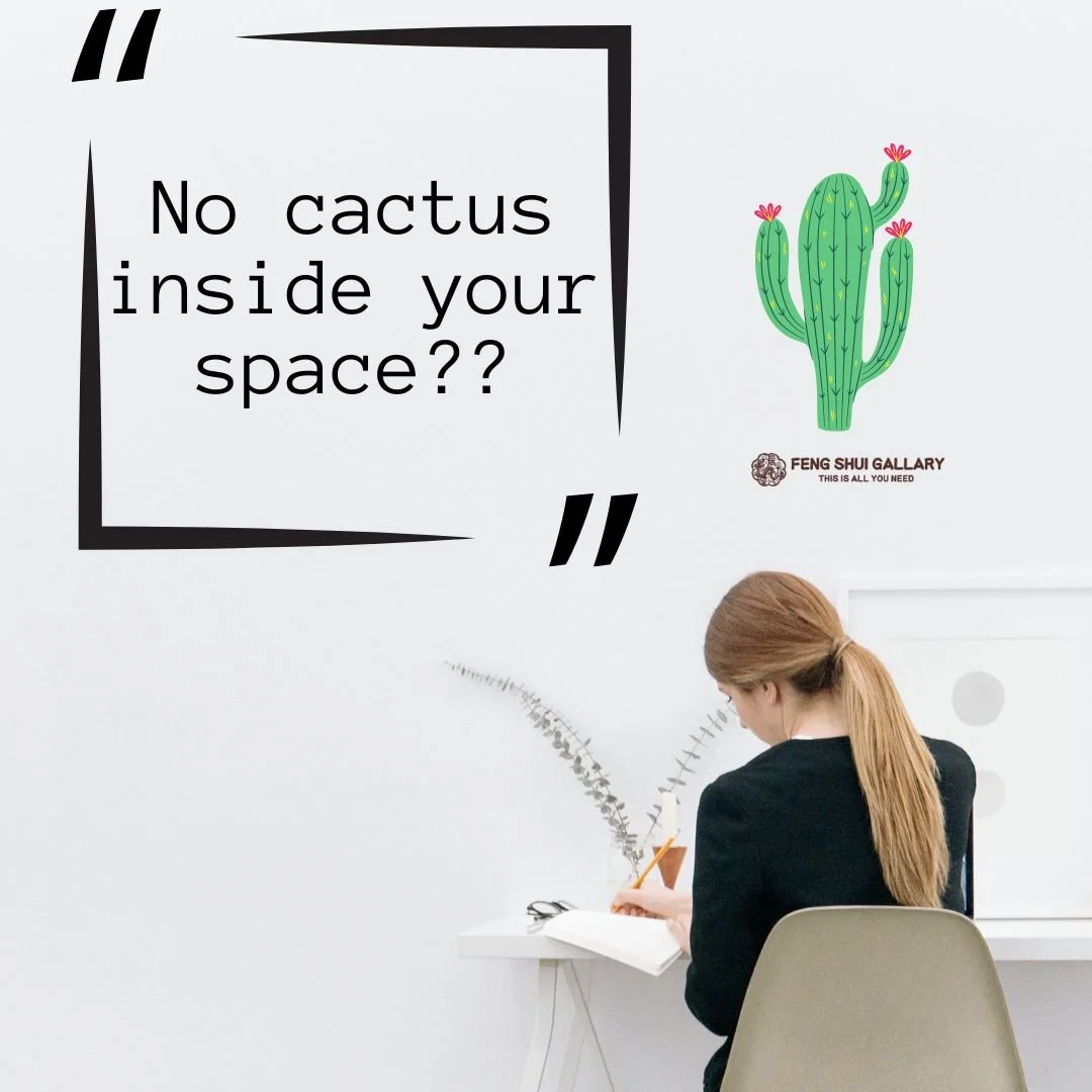Fengshui cactus, thorny