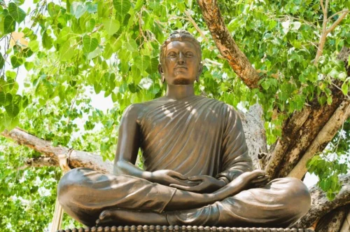 เรื่องราวแห่งพระศากยมุนี: การตื่นรู้และพลังงานแห่งการตรัสรู้