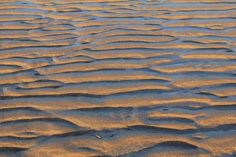 natural patterns, feng