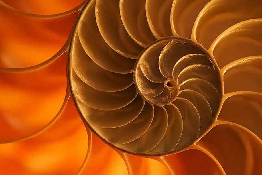 fractal pattern, golden