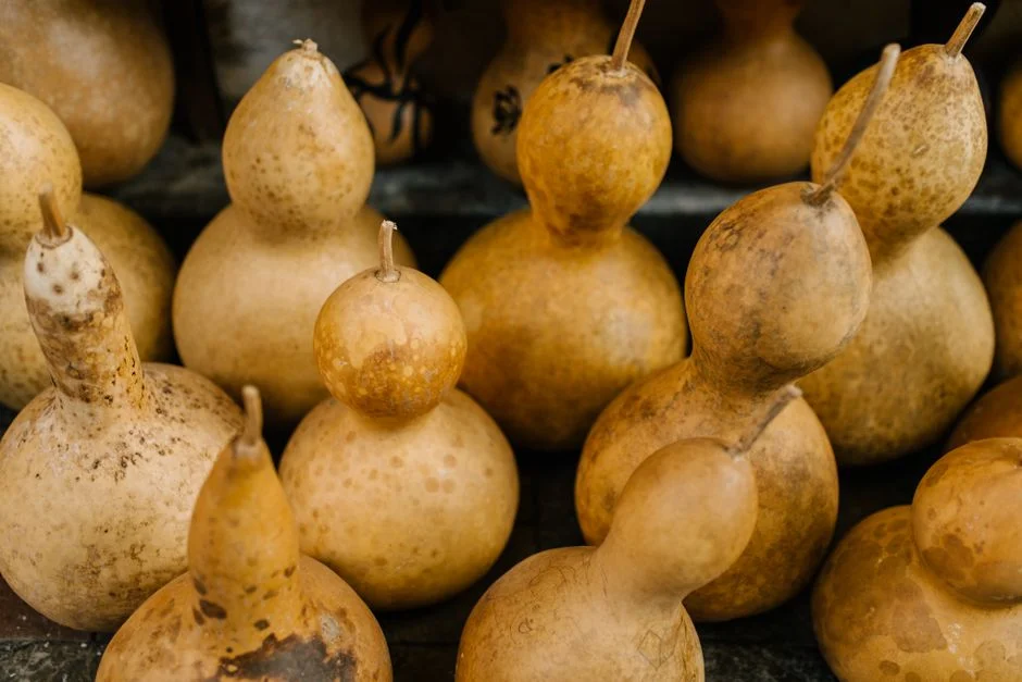 Wu Lou gourd,