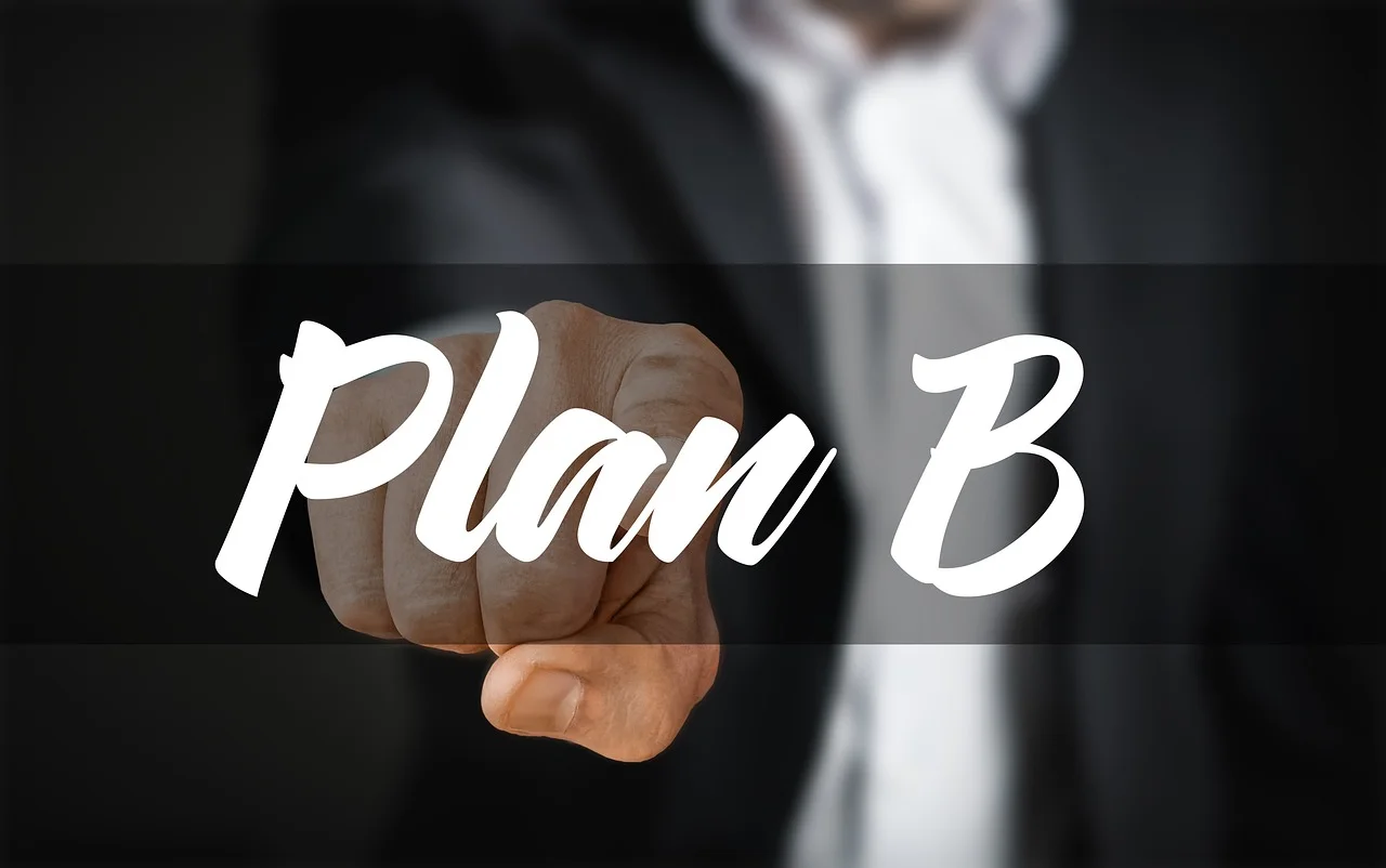 financial strategy, alternative