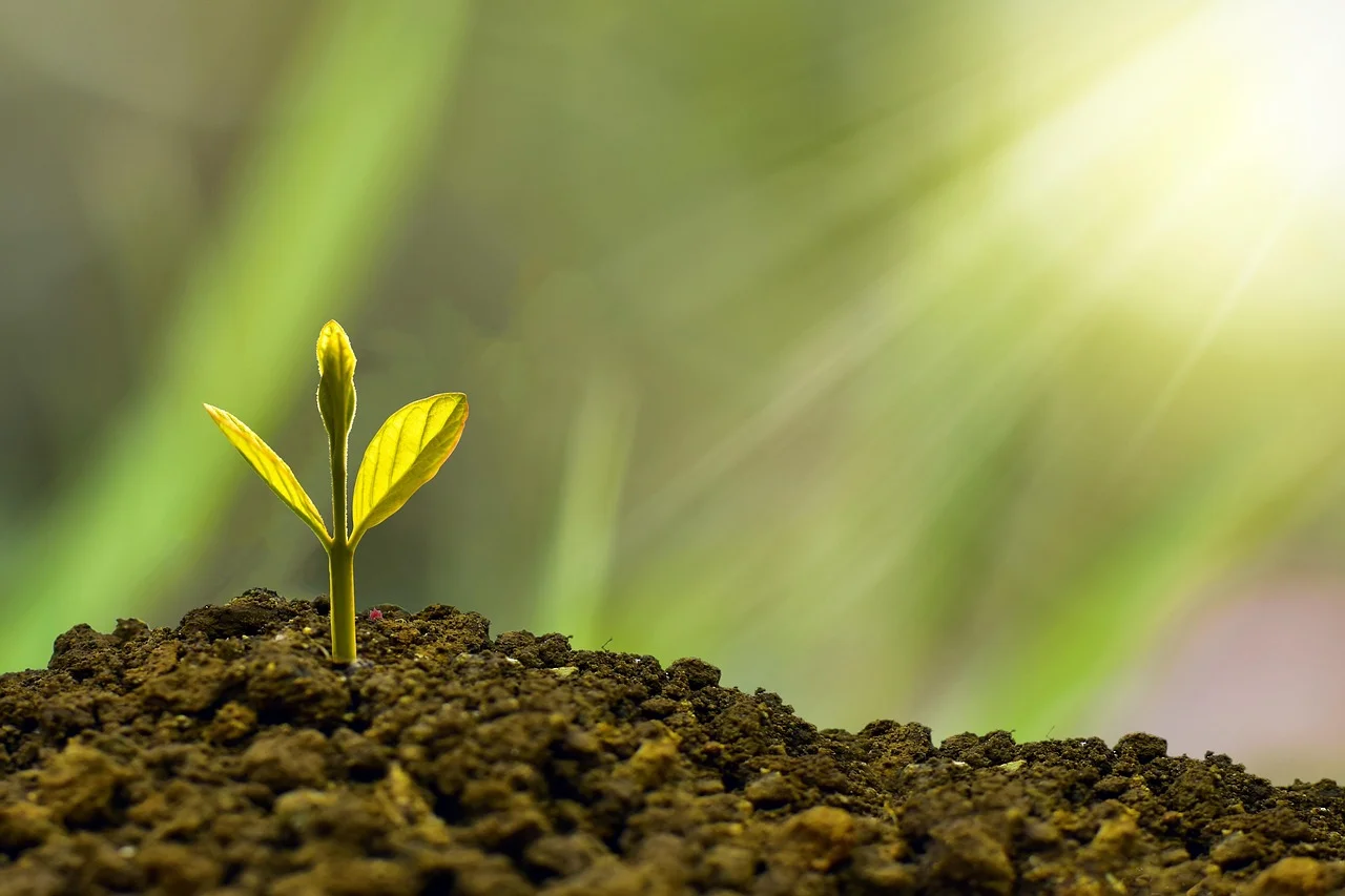 Financial freedom, Sustained