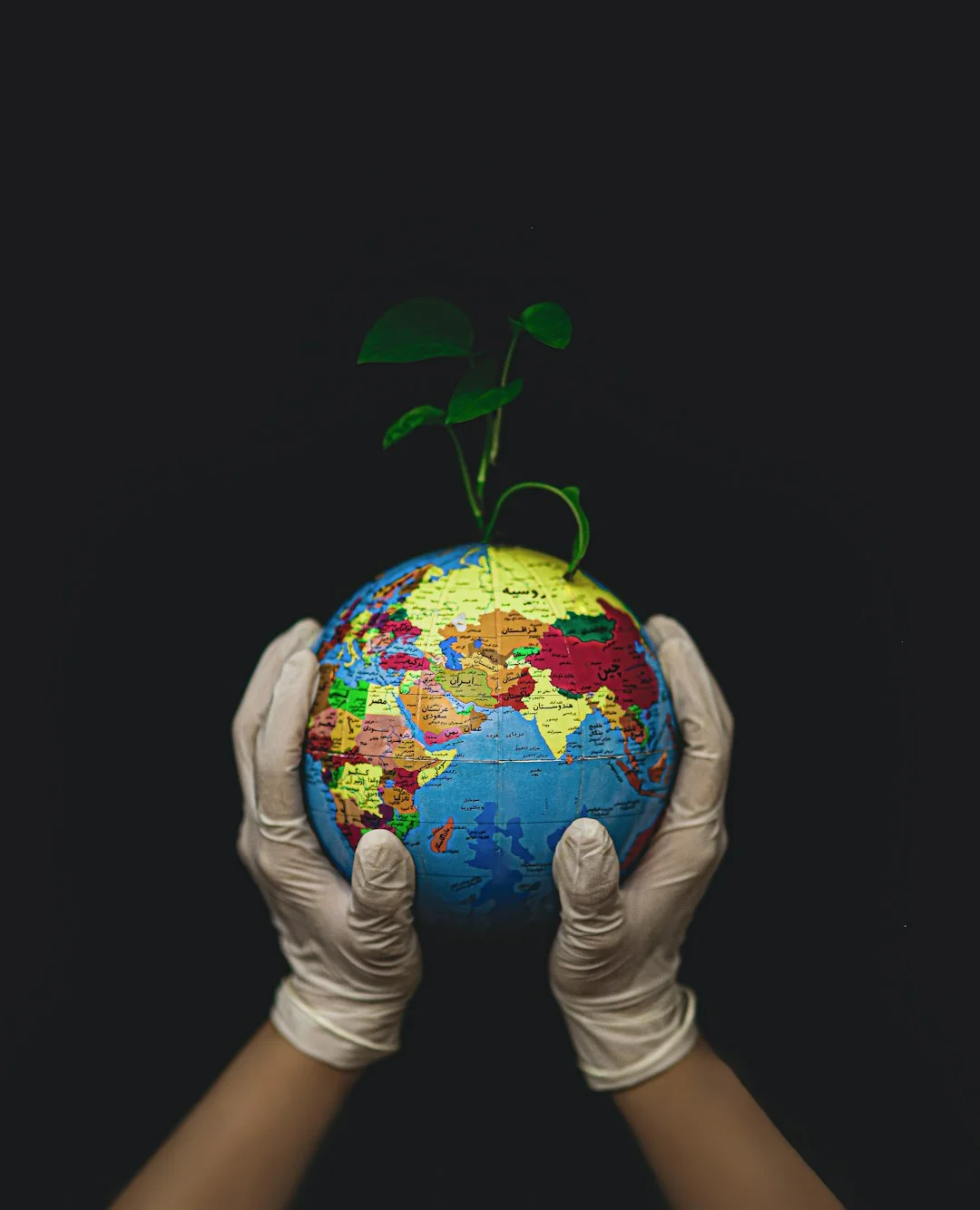 Degrowth movement, sustainable