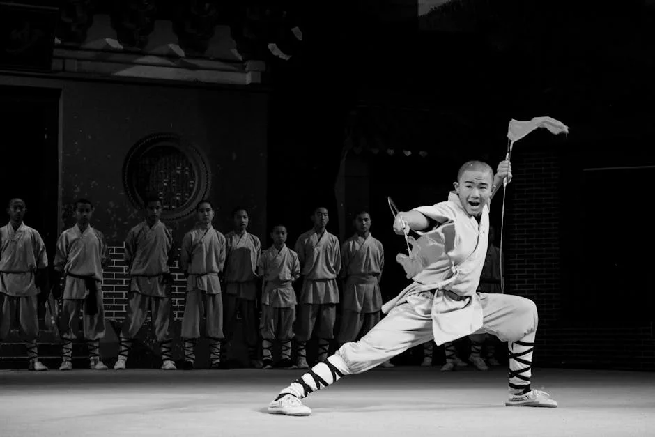 Shaolin vs Fu