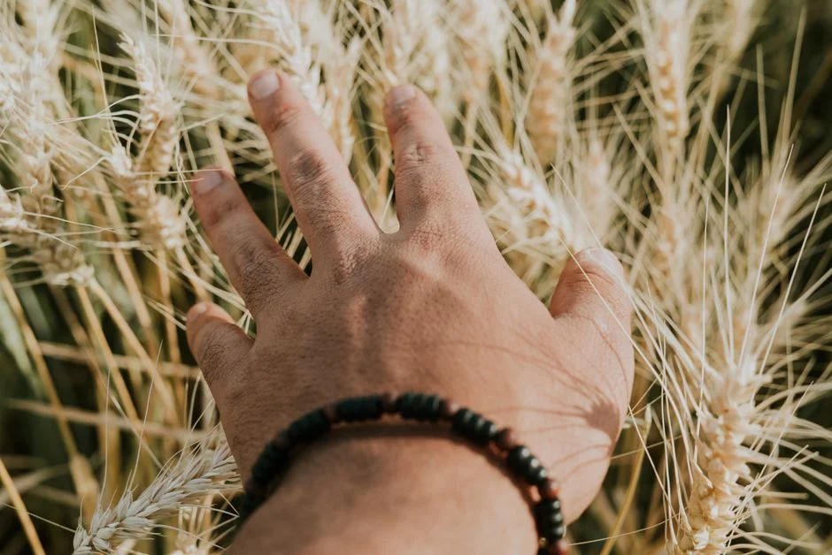 bracelet energy source,