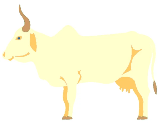abundance symbols, prosperity