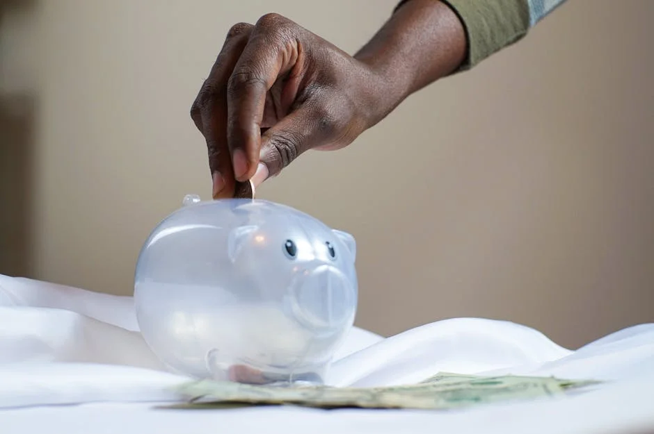 Piggy bank savings,