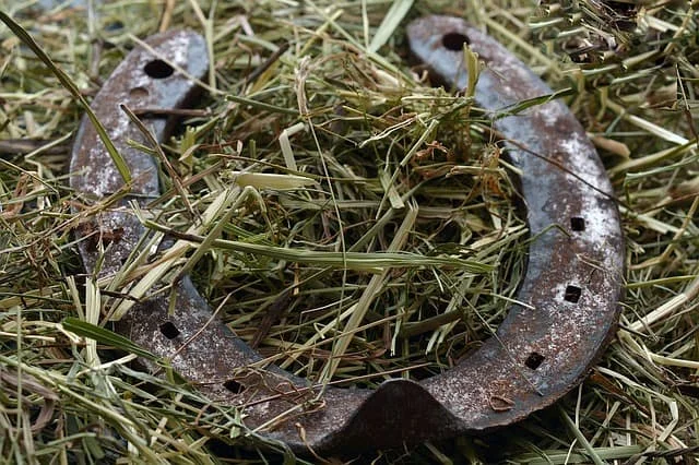 Horseshoe good luck,