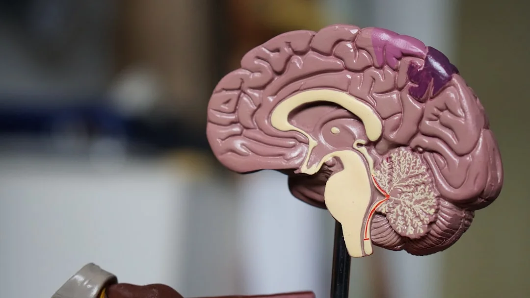 nervous system, emotional