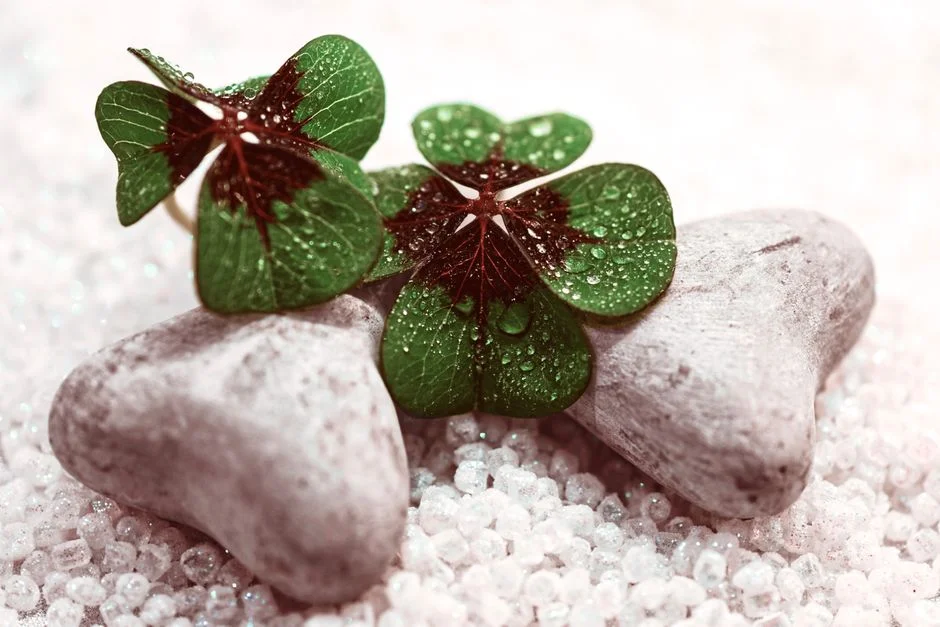 Lucky crystals, Harmony