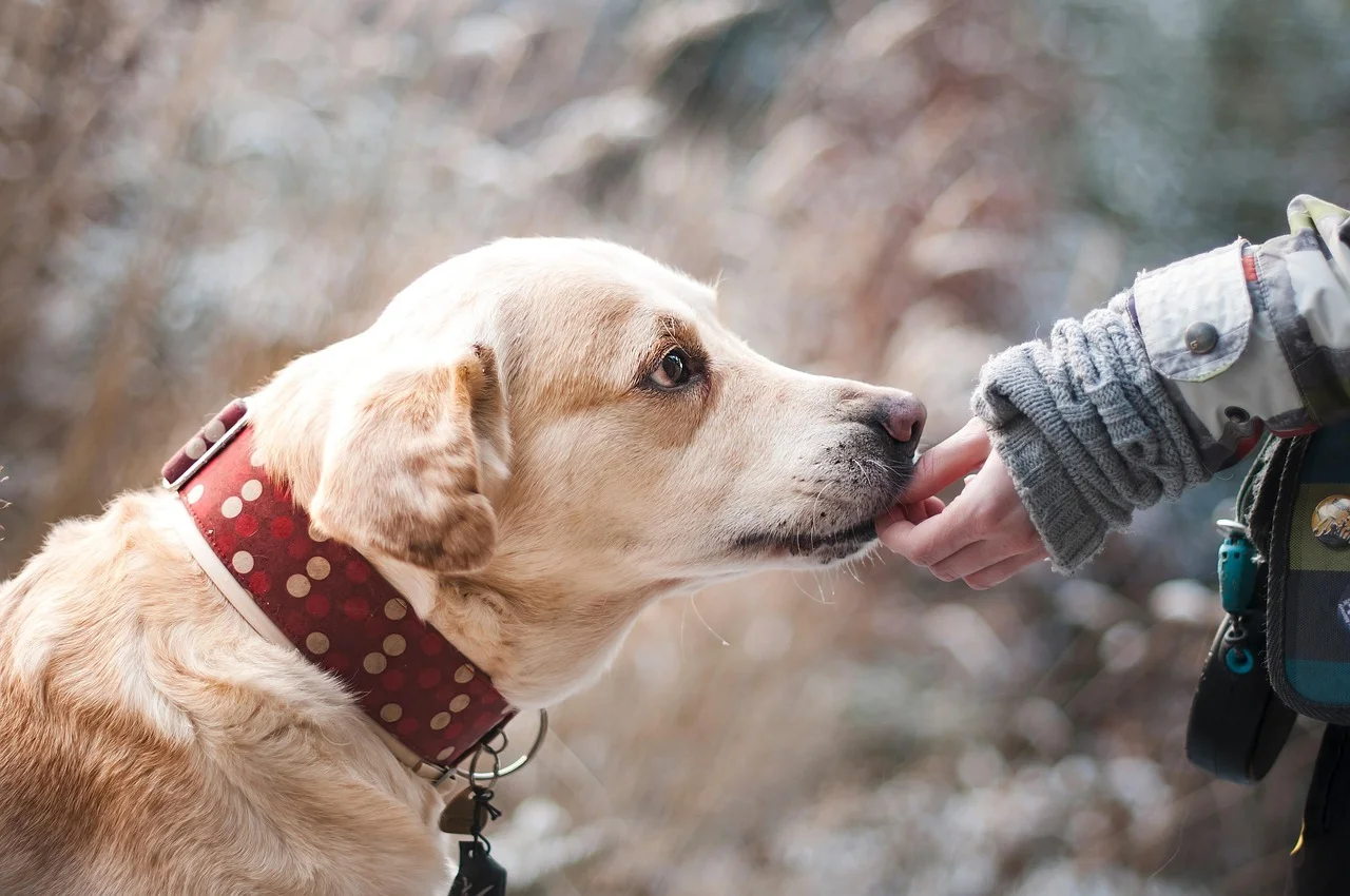 Relationship bonds, trust