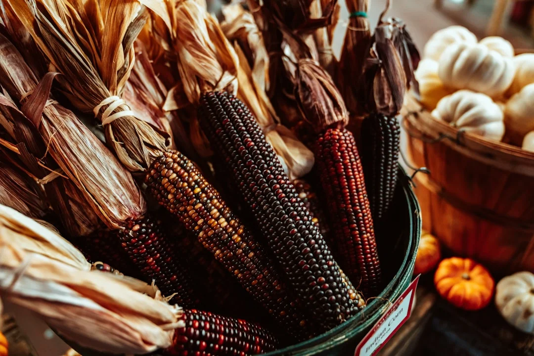 Cornucopia symbol abundance