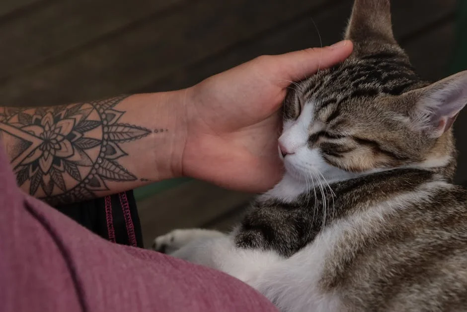 Ganesha mandala cat
