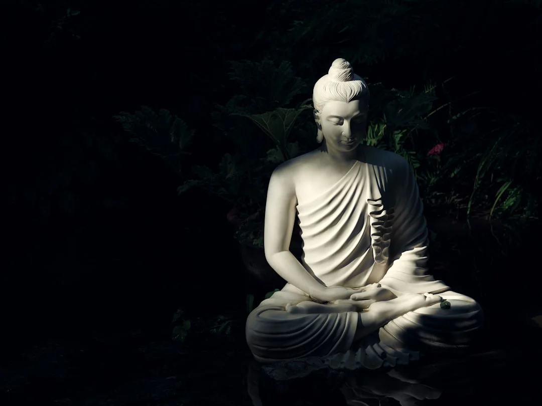 Spiritual awakening, Buddhist