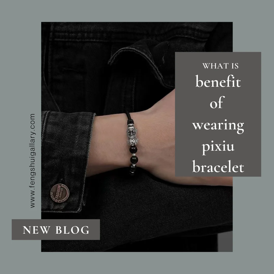 Pixiu bracelet, Feng