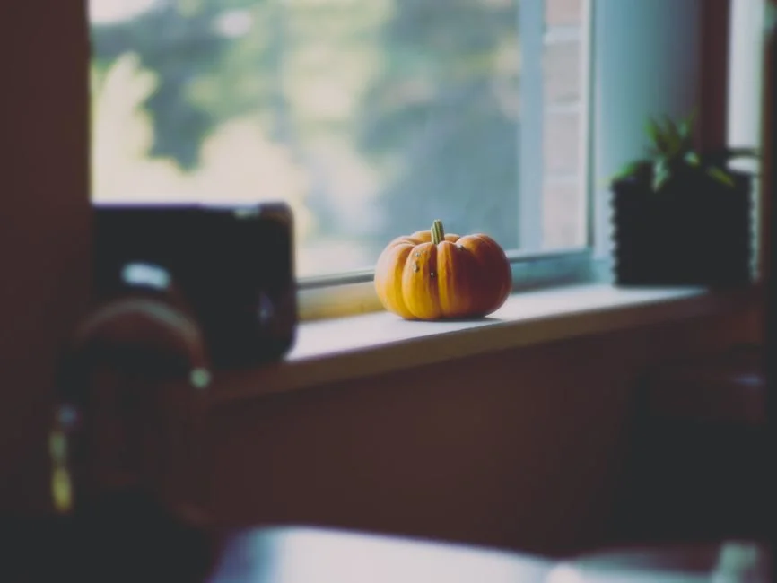 Gourd near window,