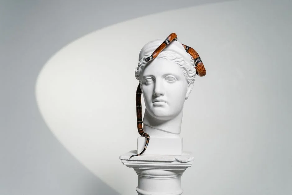 Snake zodiac, Future
