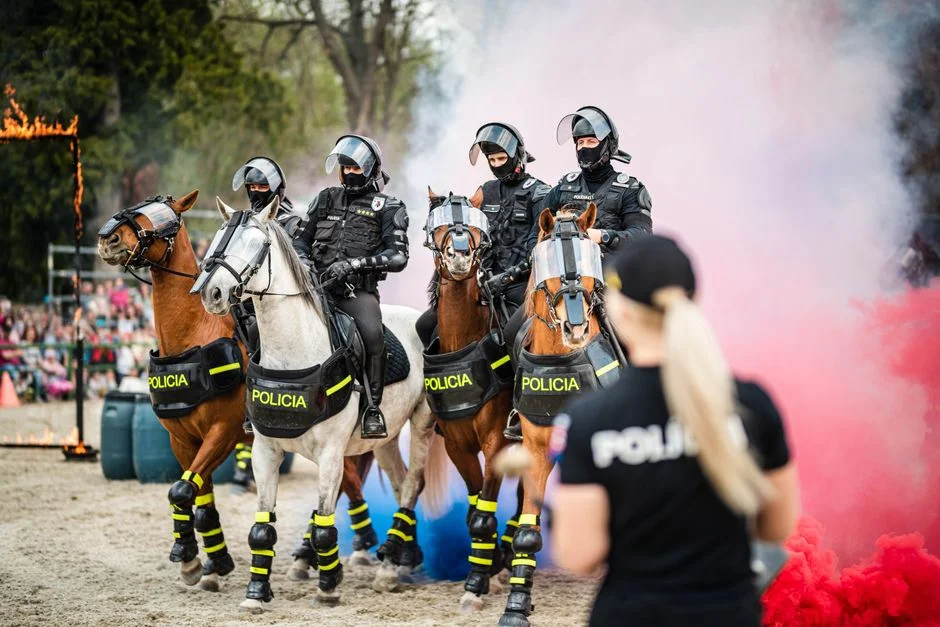 Fire horse energy,
